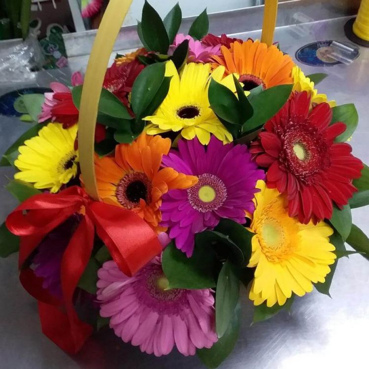 Улыбка радуги от 8 310 руб.